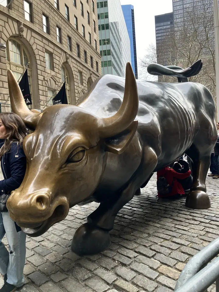 Charging Bull